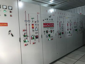 京东超市11.11溯源团走进安贝茶业 以定制化产品驱动三倍增长新目标